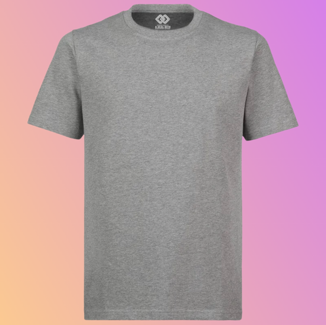 THE REGULAR T-SHIRT HEATHER GRAY